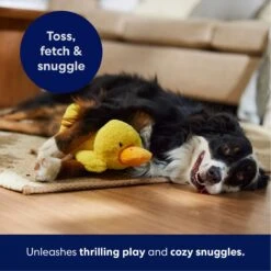Frisco Duck Plush Squeaky Dog Toy -Pet Supplies Discount Store 233613 PT4. AC SS1800 V1695670688