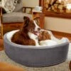Frisco Bolster Cat & Dog Bed 2 Frisco Bolster Cat & Dog Bed -Pet Supplies Discount Store 235034 MAIN. AC SS1800 V1602690455