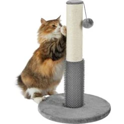 Frisco 21-in Sisal Cat Scratching Post With Toy & Groomer -Pet Supplies Discount Store 236533 PT2. AC SS1800 V1615987395