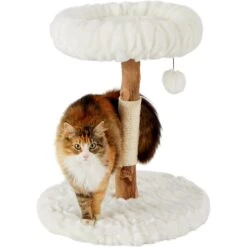 Frisco Natural Wood Modern Cat Tree With Toy, Ivory, Small 10 Frisco Natural Wood Modern Cat Tree With Toy, Ivory, Small -Pet Supplies Discount Store 236559 PT2. AC SS1800 V1615987338