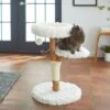 Frisco Natural Wood Modern Cat Tree With Toy, Ivory, Medium 1 Frisco Natural Wood Modern Cat Tree With Toy, Ivory, Medium -Pet Supplies Discount Store 236561 MAIN. AC SS1800 V1616521947