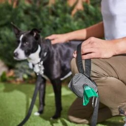 Frisco Dog Poop Bags With Fabric Dispenser 15 Frisco Dog Poop Bags With Fabric Dispenser -Pet Supplies Discount Store 236998 PT6. AC SS1800 V1610772967