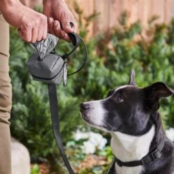 Frisco Large Size Dog Poop Bags With Fabric Dispenser -Pet Supplies Discount Store 237013 PT6. AC SS1800 V1610762789