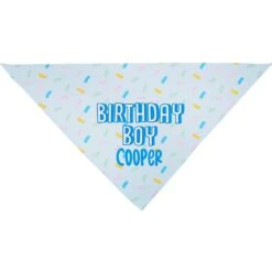 Frisco Birthday Boy Personalized Dog & Cat Bandana -Pet Supplies Discount Store 238329 PT3. AC SS1800 V1618511828