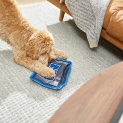 Frisco Zoomies & Chill TV Flat Plush Squeaky Dog Toy 9 Frisco Zoomies & Chill TV Flat Plush Squeaky Dog Toy -Pet Supplies Discount Store 241685 PT6. AC SS1800 V1610768399