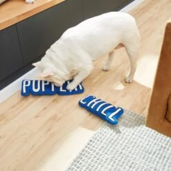 Frisco Zoomies & Chill Pupflix & Chill Plush Squeaky Dog Toy, 2 Count -Pet Supplies Discount Store 241693 PT6. AC SS1800 V1610768429