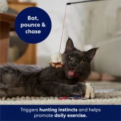 Frisco Zoomies & Chill Popcorn Teaser Wand Cat Toy With Catnip 10 Frisco Zoomies & Chill Popcorn Teaser Wand Cat Toy With Catnip -Pet Supplies Discount Store 241713 PT5. AC SS1800 V1691785246