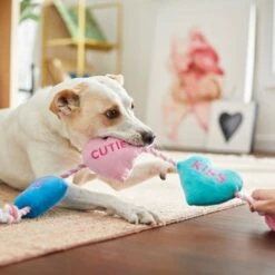 Frisco Valentine Candy Hearts Plush With Rope Squeaky Dog Toy -Pet Supplies Discount Store 241725 PT6. AC SS1800 V1607989337