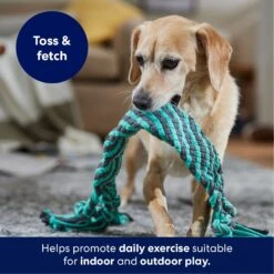 Frisco Flat Teal & Gray Braided Rope Squeaky Fetch Dog Toy 10 Frisco Flat Teal & Gray Braided Rope Squeaky Fetch Dog Toy -Pet Supplies Discount Store 242127 PT3. AC SS1800 V1695242179