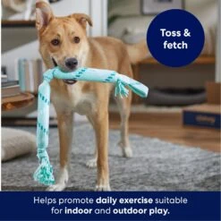 Frisco Double Fun Rope Crinkle Fetch Dog Toy -Pet Supplies Discount Store 242137 PT3. AC SS1800 V1695242178