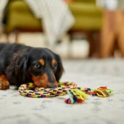 Frisco Pretzel Rope Dog Toy -Pet Supplies Discount Store 242141 PT2. AC SS1800 V1605208795