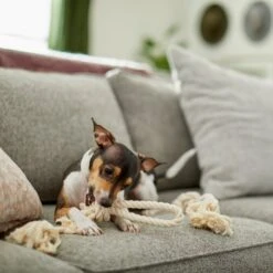 Frisco Double Knot Cotton Rope Fetch Dog Toy -Pet Supplies Discount Store 242155 PT2. AC SS1800 V1605208728