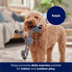 Frisco Zebra Rope Squeaky Dog Toy -Pet Supplies Discount Store 242163 PT3. AC SS1800 V1691785245