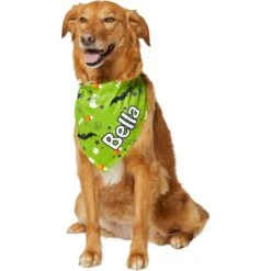 Frisco Halloween Boo! Personalized Dog & Cat Bandana -Pet Supplies Discount Store 244583 PT6. AC SS1800 V1618510307