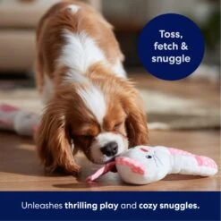 Frisco Bunny Plush Squeaky Puppy Toy 10 Frisco Bunny Plush Squeaky Puppy Toy -Pet Supplies Discount Store 245916 PT3. AC SS1800 V1695760959