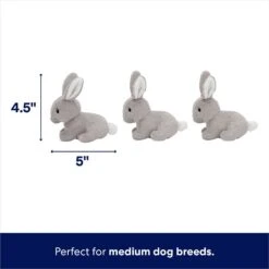Frisco Spring Bunny Burrow Hide & Seek Plush Squeaky Dog Toy -Pet Supplies Discount Store 248039 PT2. AC SS1800 V1700243718