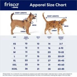 Frisco Boss Babe Dog & Cat Dress 9 Frisco Boss Babe Dog & Cat Dress -Pet Supplies Discount Store 248674 PT1. AC SS1800 V1677097336