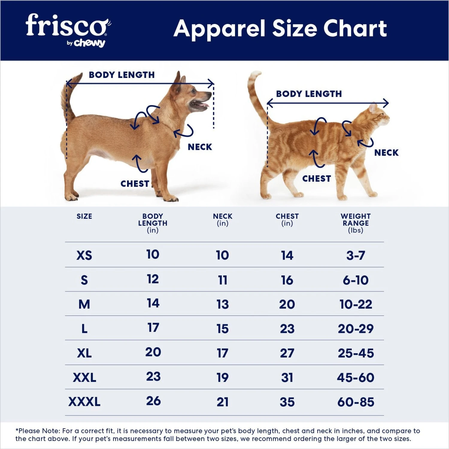 Frisco Boss Babe Dog & Cat Dress 4 Frisco Boss Babe Dog & Cat Dress - Image 2