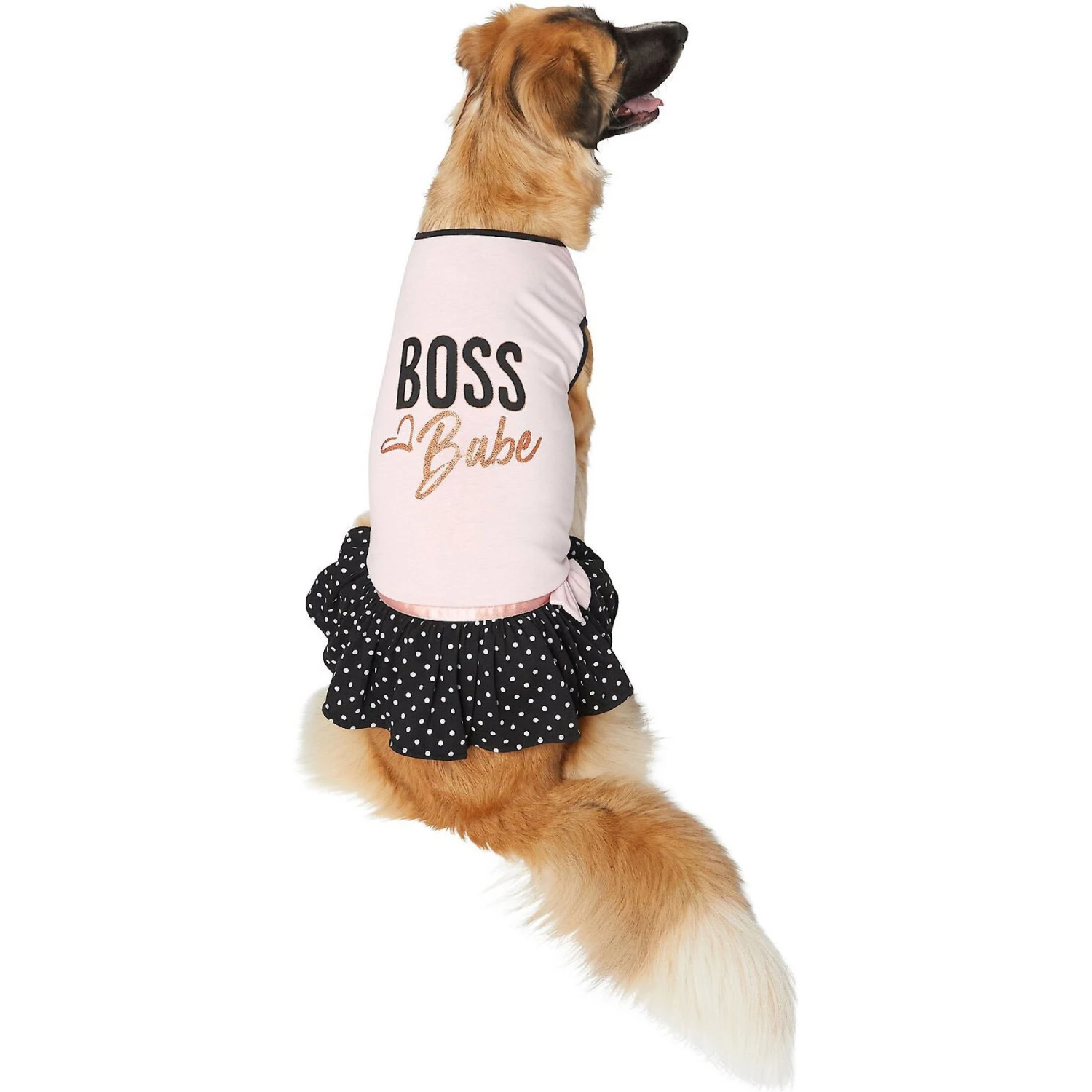 Frisco Boss Babe Dog & Cat Dress 5 Frisco Boss Babe Dog & Cat Dress - Image 3