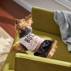 Frisco Boss Babe Dog & Cat Dress 13 Frisco Boss Babe Dog & Cat Dress -Pet Supplies Discount Store 248674 PT7. AC SS1800 V1613666625