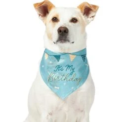 Frisco It's My Birthday Dog & Cat Bandana, Blue -Pet Supplies Discount Store 248697 PT2. AC SS1800 V1633081896