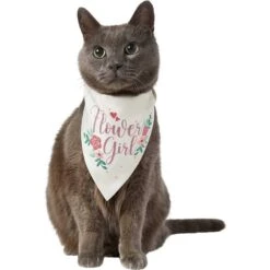 Frisco Wedding Reversible Dog & Cat Bandana -Pet Supplies Discount Store 248712 PT3. AC SS1800 V1632431176