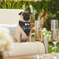 Frisco Wedding Reversible Dog & Cat Bandana -Pet Supplies Discount Store 248712 PT5. AC SS1800 V1632432987