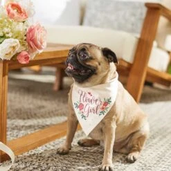 Frisco Wedding Reversible Dog & Cat Bandana -Pet Supplies Discount Store 248712 PT6. AC SS1800 V1632430655