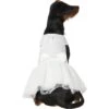Frisco Formal Dog Wedding Dress -Pet Supplies Discount Store 248743 MAIN. AC SS1800 V1614118280