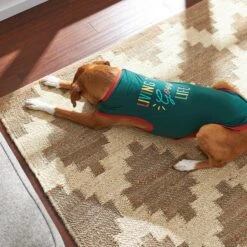 Frisco Living The Good Life Dog & Cat T-Shirt -Pet Supplies Discount Store 248973 PT7. AC SS1800 V1644476808