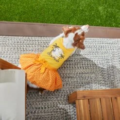 Frisco Fun In The Sun Dog & Cat Dress -Pet Supplies Discount Store 249058 PT7. AC SS1800 V1614094230