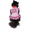 Frisco Cute & Sassy Dog & Cat Dress -Pet Supplies Discount Store 249073 MAIN. AC SS1800 V1644452847