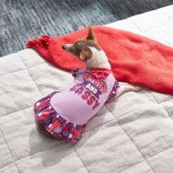 Frisco Cute & Sassy Dog & Cat Dress -Pet Supplies Discount Store 249073 PT5. AC SS1800 V1644960392