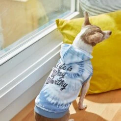 Frisco Life Is Wag Worthy Tiedye Print Dog & Cat Hoodie -Pet Supplies Discount Store 249094 PT7. AC SS1800 V1614362017