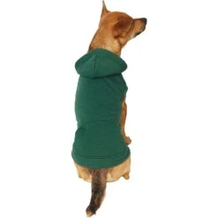 Frisco Dog & Cat Basic Hoodie -Pet Supplies Discount Store 249154 PT2. AC SS1800 V1633073480