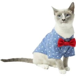 Frisco Polka Dot Chambray Dog & Cat Button Up Shirt -Pet Supplies Discount Store 249162 PT2. AC SS1800 V1614202882