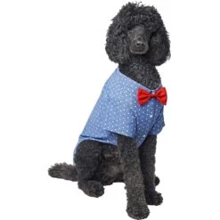 Frisco Polka Dot Chambray Dog & Cat Button Up Shirt -Pet Supplies Discount Store 249162 PT3. AC SS1800 V1624599756