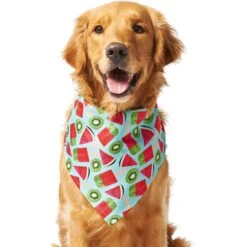 Frisco Fruity Summer Dog & Cat Bandana -Pet Supplies Discount Store 249204 PT2. AC SS1800 V1637644629