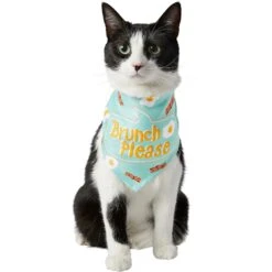 Frisco Brunch Please Dog & Cat Bandana 12 Frisco Brunch Please Dog & Cat Bandana -Pet Supplies Discount Store 249207 PT2. AC SS1800 V1696597732