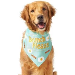 Frisco Brunch Please Dog & Cat Bandana 13 Frisco Brunch Please Dog & Cat Bandana -Pet Supplies Discount Store 249207 PT3. AC SS1800 V1696597730