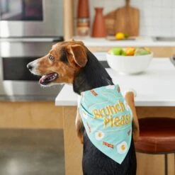 Frisco Brunch Please Dog & Cat Bandana 15 Frisco Brunch Please Dog & Cat Bandana -Pet Supplies Discount Store 249207 PT5. AC SS1800 V1696597732
