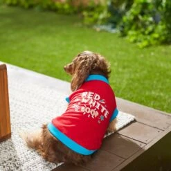 Frisco Red, White & Boop Dog & Cat T-Shirt -Pet Supplies Discount Store 249242 PT7. AC SS1800 V1614368539