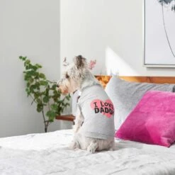 Frisco I Love Daddy Dog & Cat T-Shirt, Gray -Pet Supplies Discount Store 249263 PT5. AC SS1800 V1624592867