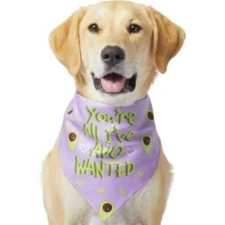 Frisco You're All I've Avo Wanted Dog & Cat Bandana -Pet Supplies Discount Store 249292 PT2. AC SS1800 V1637723806