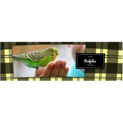 Frisco Double Walled Red Plaid Personalized Tumbler, 30-oz Cup -Pet Supplies Discount Store 249346 PT2. AC SS1800 V1602029161