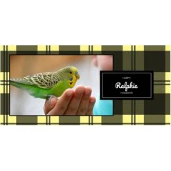 Frisco Plaid Insulated Personalized Mug, 10-oz -Pet Supplies Discount Store 249359 PT2. AC SS1800 V1601678195