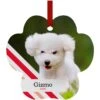 Frisco Peppermint Stripes Paw Shape Metal Personalized Dog & Cat Holiday Ornament -Pet Supplies Discount Store 249371 MAIN. AC SS1800 V1602613266