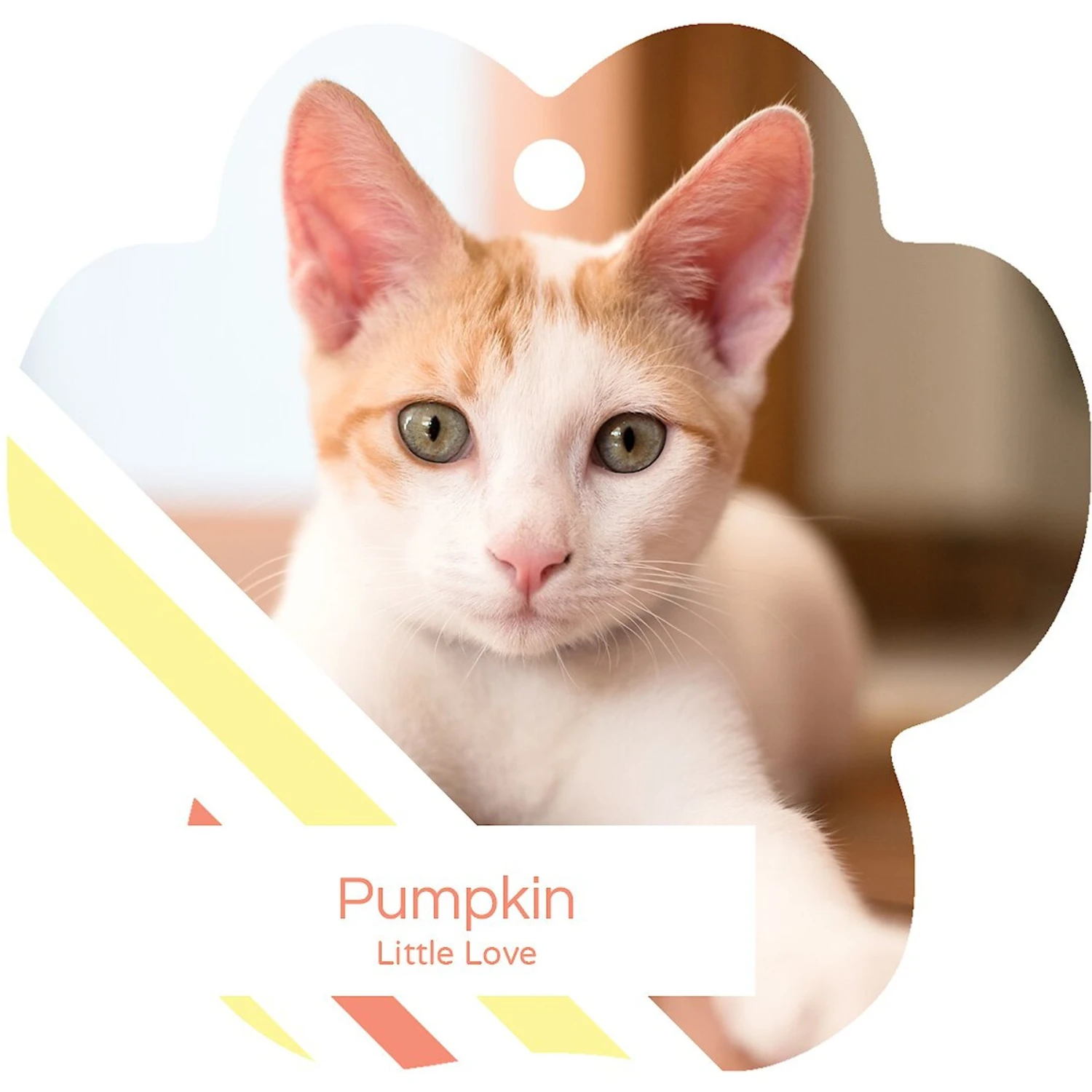 Frisco Peppermint Stripes Paw Shape Metal Personalized Dog & Cat Holiday Ornament 5 Frisco Peppermint Stripes Paw Shape Metal Personalized Dog & Cat Holiday Ornament - Image 3