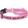 Frisco Solid Nylon Personalized Martingale Dog Collar 2 Frisco Solid Nylon Personalized Martingale Dog Collar -Pet Supplies Discount Store 249561 MAIN. AC SS1800 V1699636209