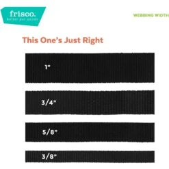 Frisco Solid Nylon Personalized Martingale Dog Collar 13 Frisco Solid Nylon Personalized Martingale Dog Collar -Pet Supplies Discount Store 249561 PT4. AC SS1800 V1628876638